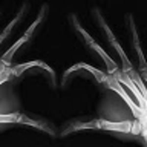 Meet your Posher, Rowan rey